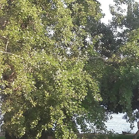 公寓 Vitturi Kaštela